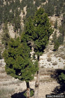 3948050