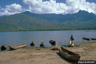 3948089