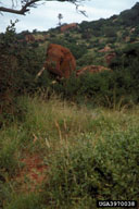 3970038