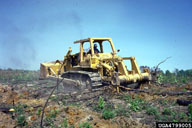 4799005