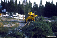 4799069