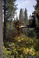 4799078
