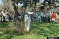 5004088