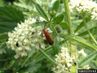 5005049