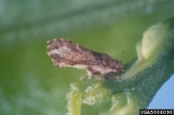 5006090