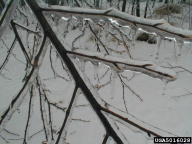 5016028