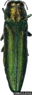 5016062