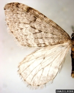 5019086
