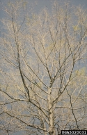 5020031