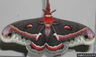 5020099