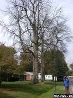 5022048