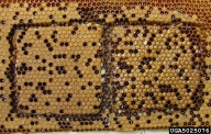 5025076
