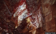 5027095
