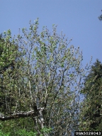 5028043