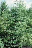 5050027