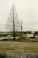 5050037