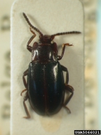 5066021