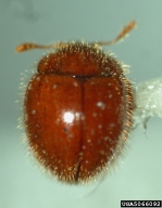 5066092