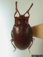5076018