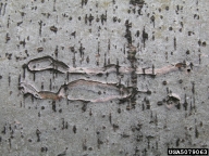 5079063