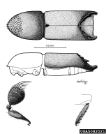 5082021