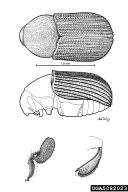 5082023