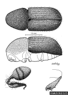 5082025