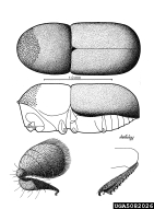 5082026