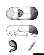 5082027
