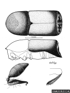5082034