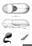 5082035