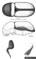 5082036