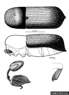 5082041