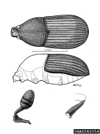 5082054