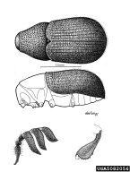 5082056