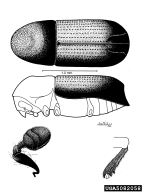 5082058