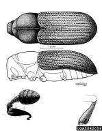 5082059
