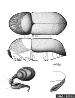 5082060
