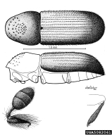 5082061