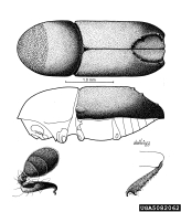 5082062