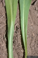 5105089