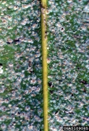 5109085