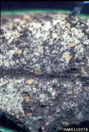 5110076