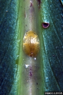 5112035