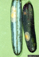 5120070