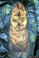 5123096