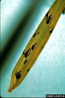5124014