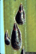 5124015