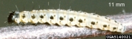 5140021