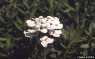 5142050